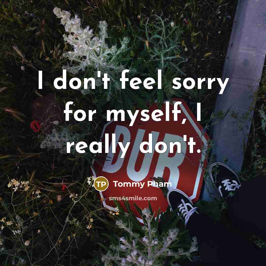 “I don't feel sorry for myself, I really don't.…” quote by Tommy Pham