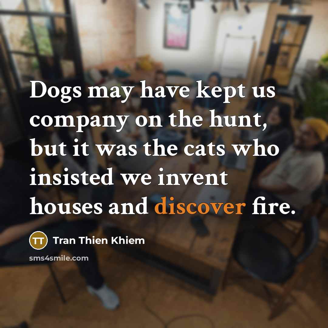 “Dogs may have kept us company on the hunt, but it was the cats who insisted we invent houses and discover fire.” quote by Tran Thien Khiem