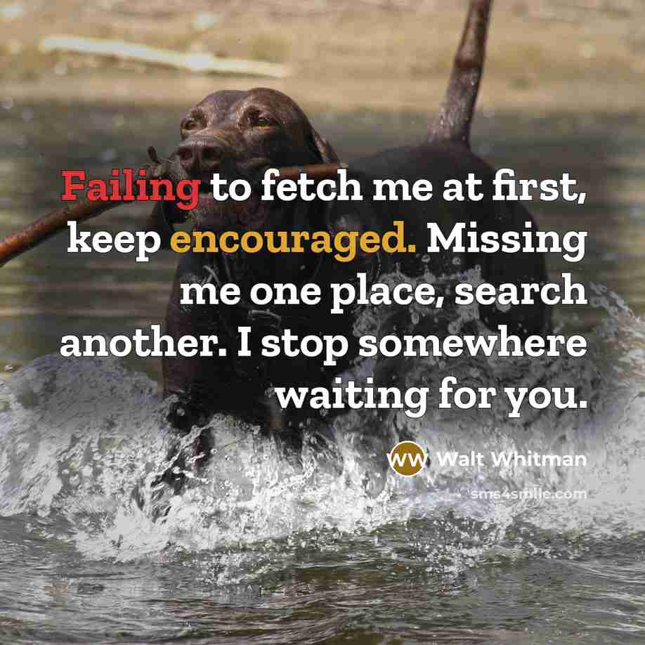 “Failing to fetch me at first, keep encouraged. Missing me one place, search another. I stop somewhere waiting for you.” quote by Walt Whitman