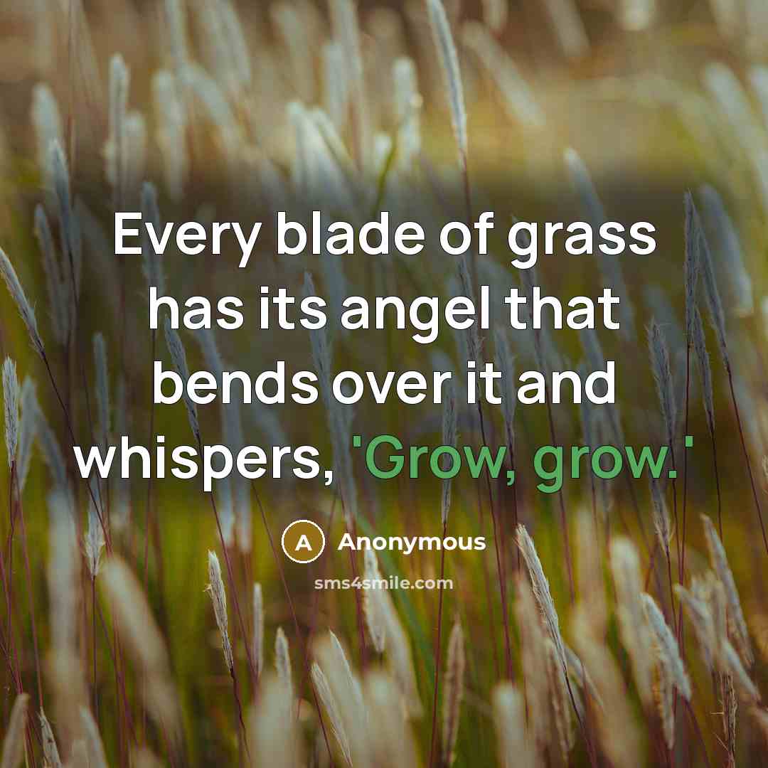 “Every blade of grass has its angel that bends over…” quote by Anonymous
