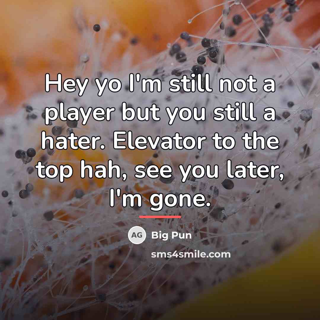 “Hey yo I'm still not a player but you still…” quote by Big Pun