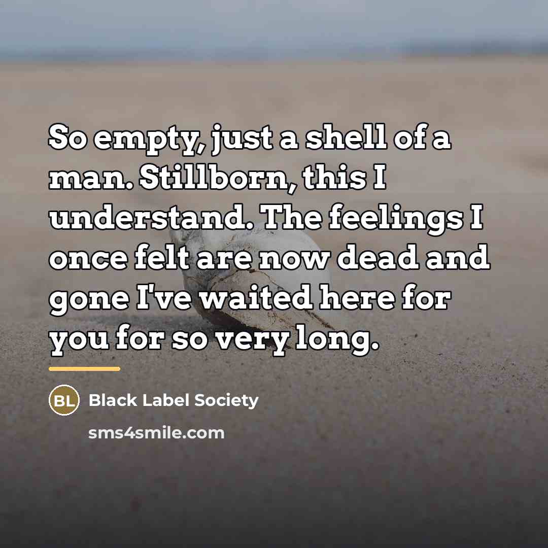 “So empty, just a shell of a man. Stillborn, this…” quote by Black Label Society