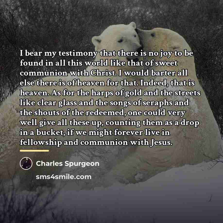 “I bear my testimony that there is no joy to…” quote by Charles Spurgeon