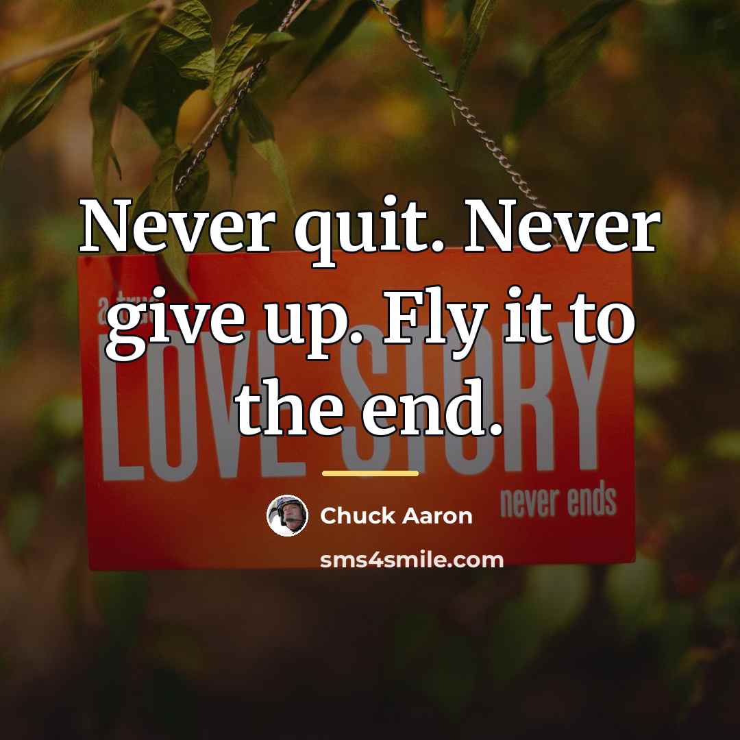 “Never quit. Never give up. Fly it to the end.…” quote by Anonymous