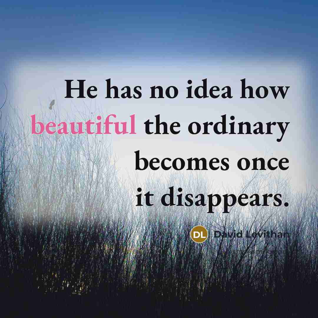 “He has no idea how beautiful the ordinary becomes once…” quote by David Levithan