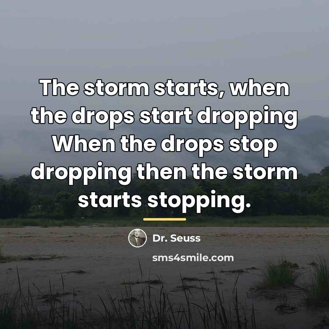 “The storm starts, when the drops start dropping When the…” quote by Dr. Seuss