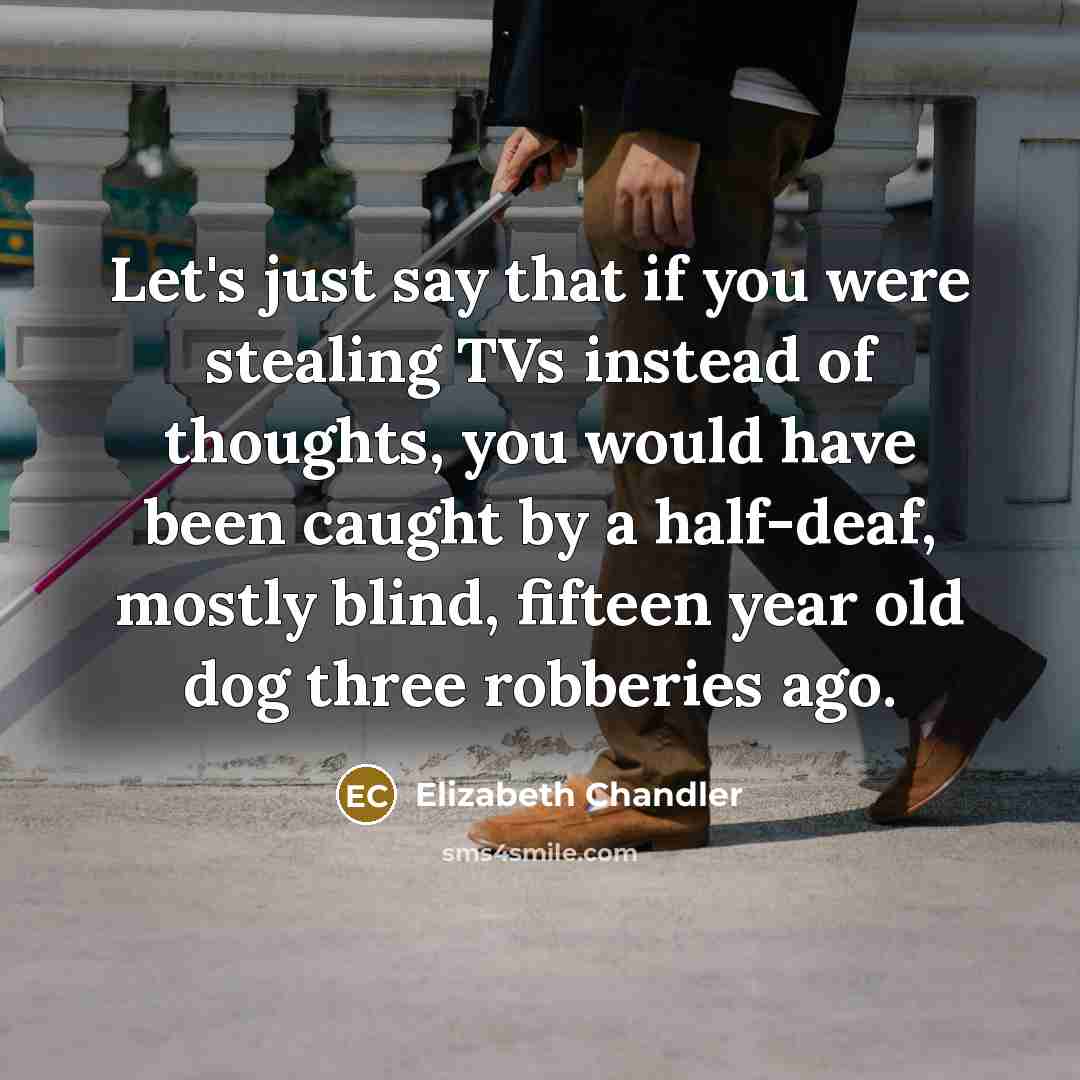 “Let's just say that if you were stealing TVs instead…” quote by Elizabeth Chandler