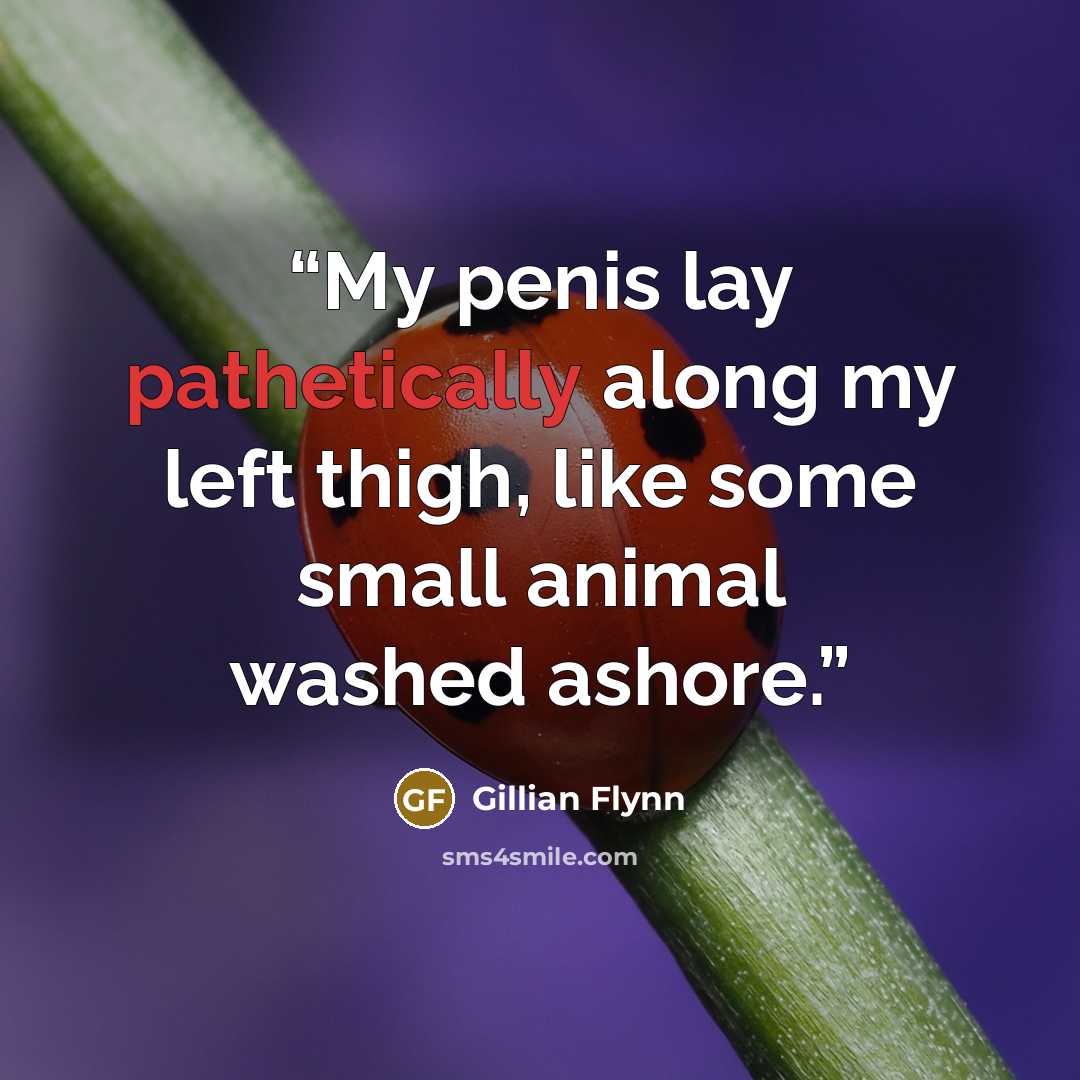 “My penis lay pathetically along my left thigh, like some small animal washed ashore.” quote by Gillian Flynn