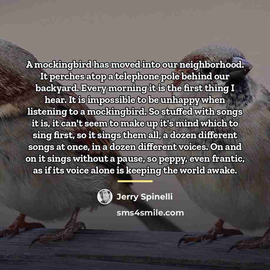 “A mockingbird has moved into our neighborhood. It perches atop…” quote by Jerry Spinelli