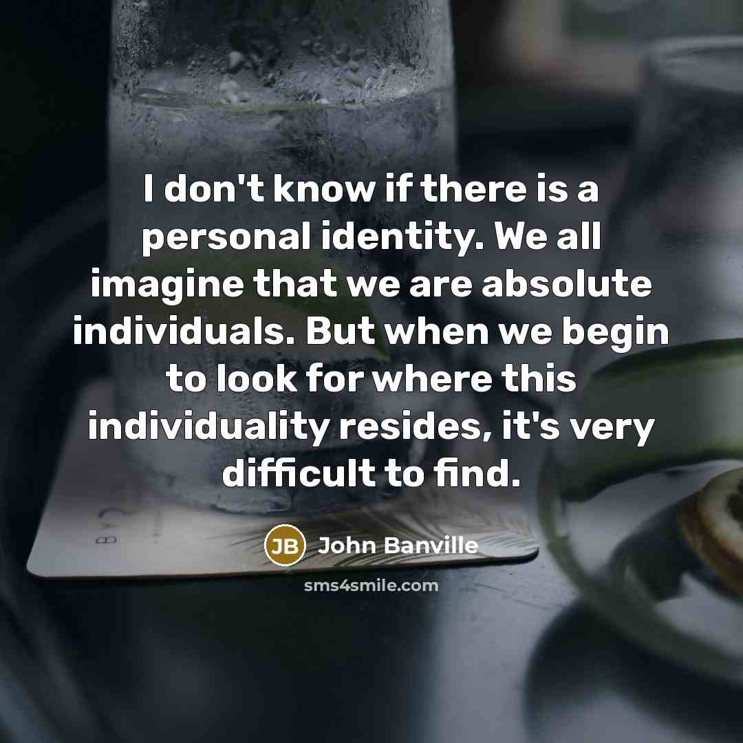“I don't know if there is a personal identity. We…” quote by John Banville