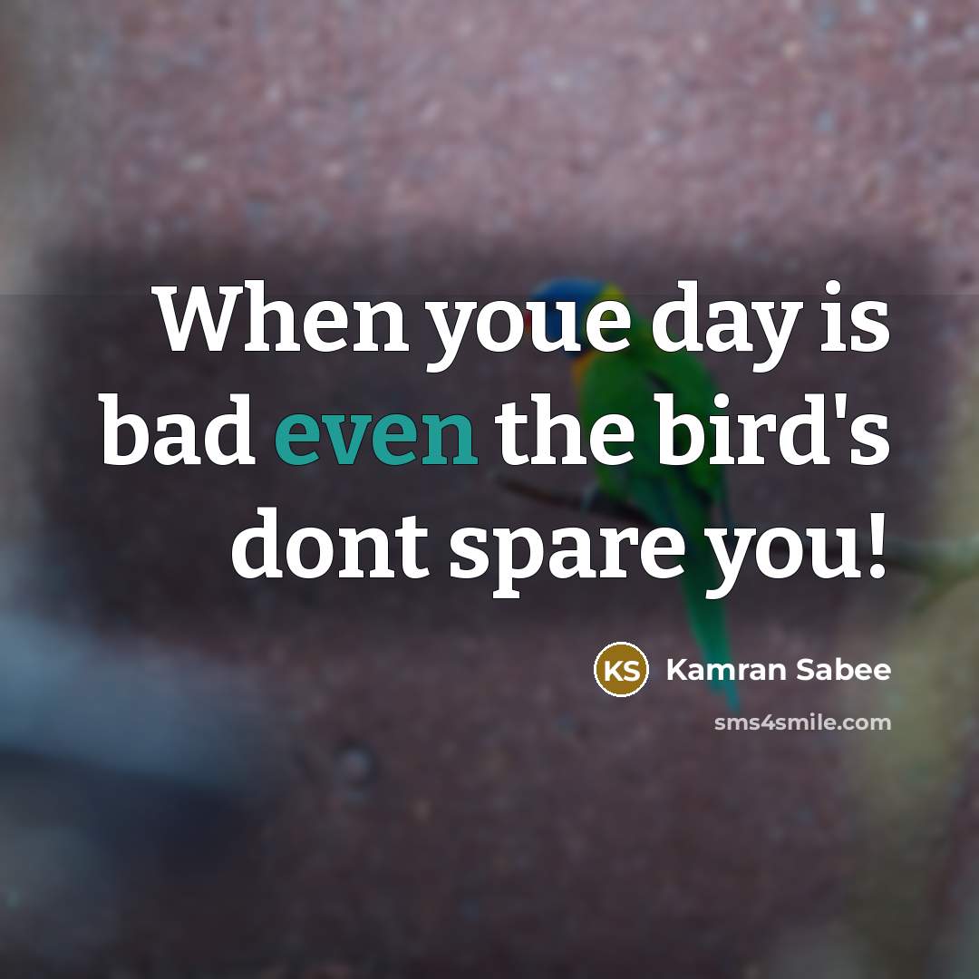 “When youe day is bad even the bird's dont spare you!” quote by Kamran Sabee