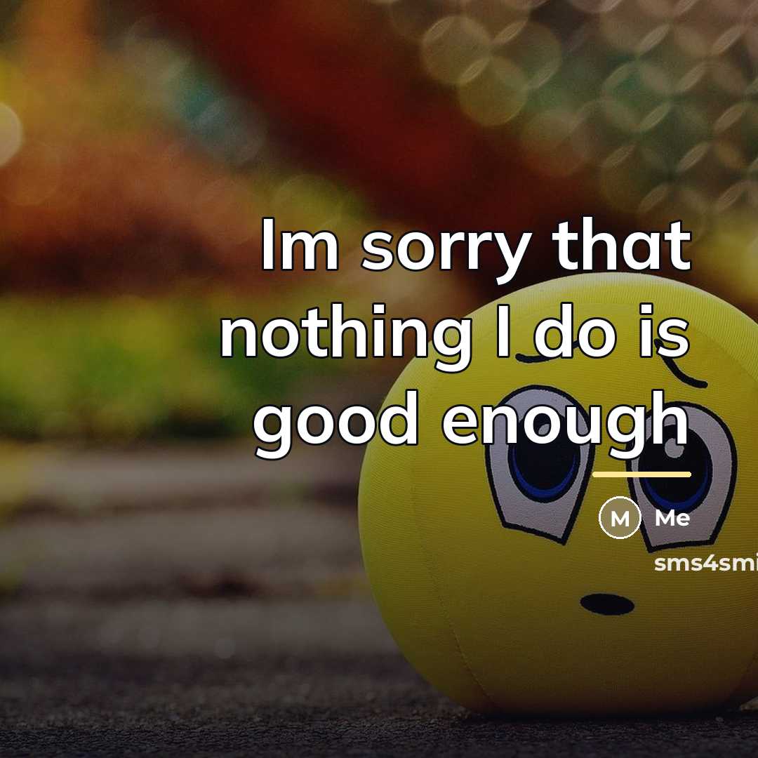 “Im sorry that nothing I do is good enough…” quote by Me