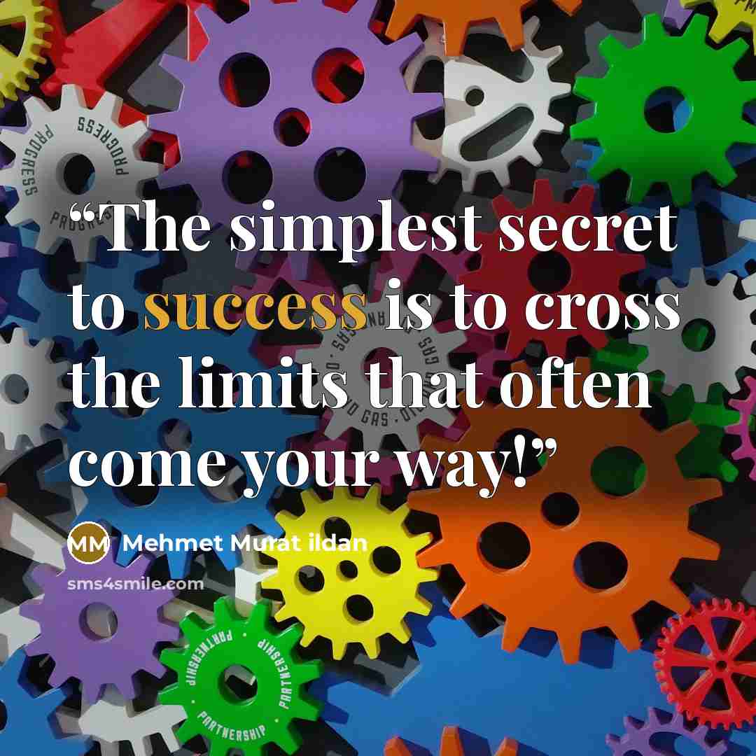 “The simplest secret to success is to cross the limits that often come your way!” quote by Mehmet Murat ildan
