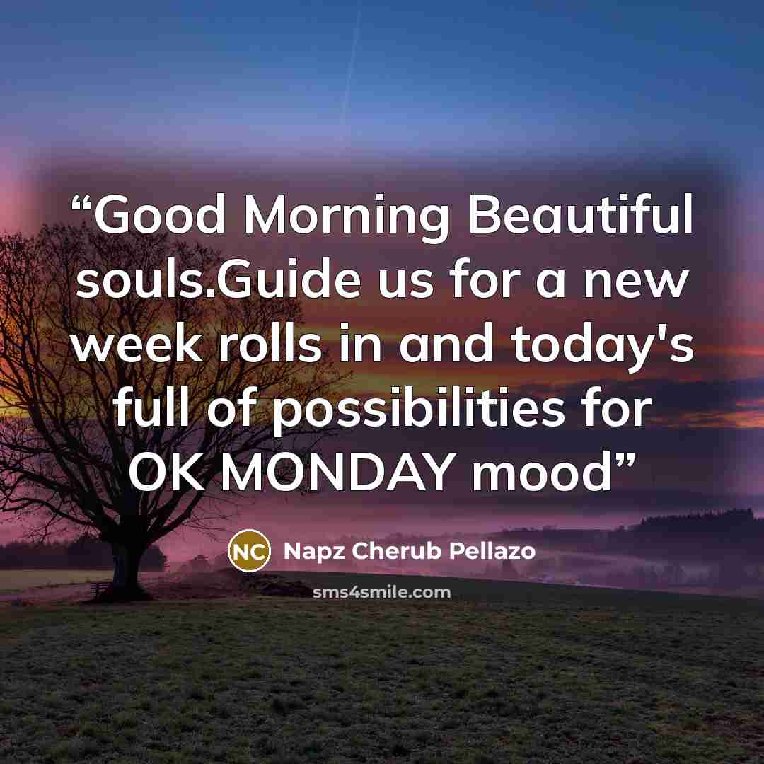 “Good Morning Beautiful souls.Guide us for a new week rolls in and today's full of possibilities for OK MONDAY mood” quote by Napz Cherub Pellazo