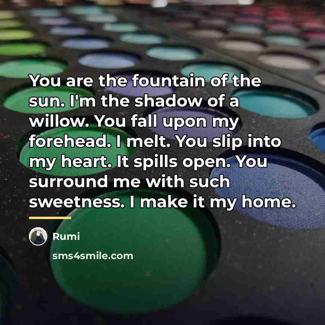 “You are the fountain of the sun. I'm the shadow…” quote by Rumi