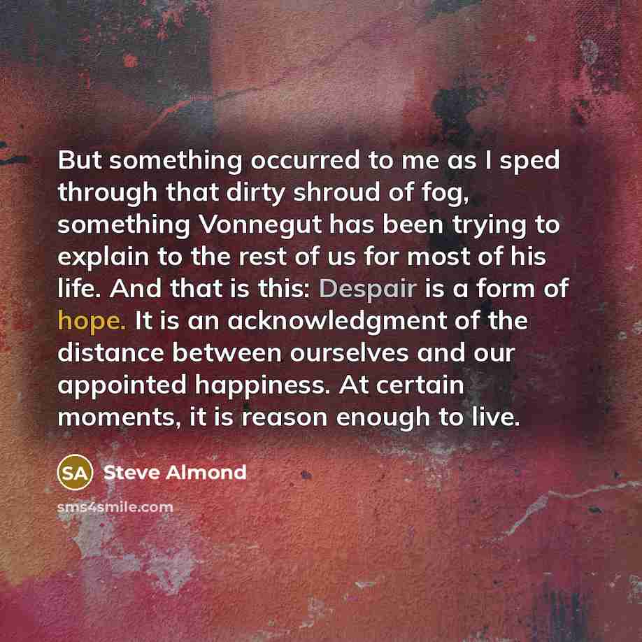 “But something occurred to me as I sped through that…” quote by Steve Almond