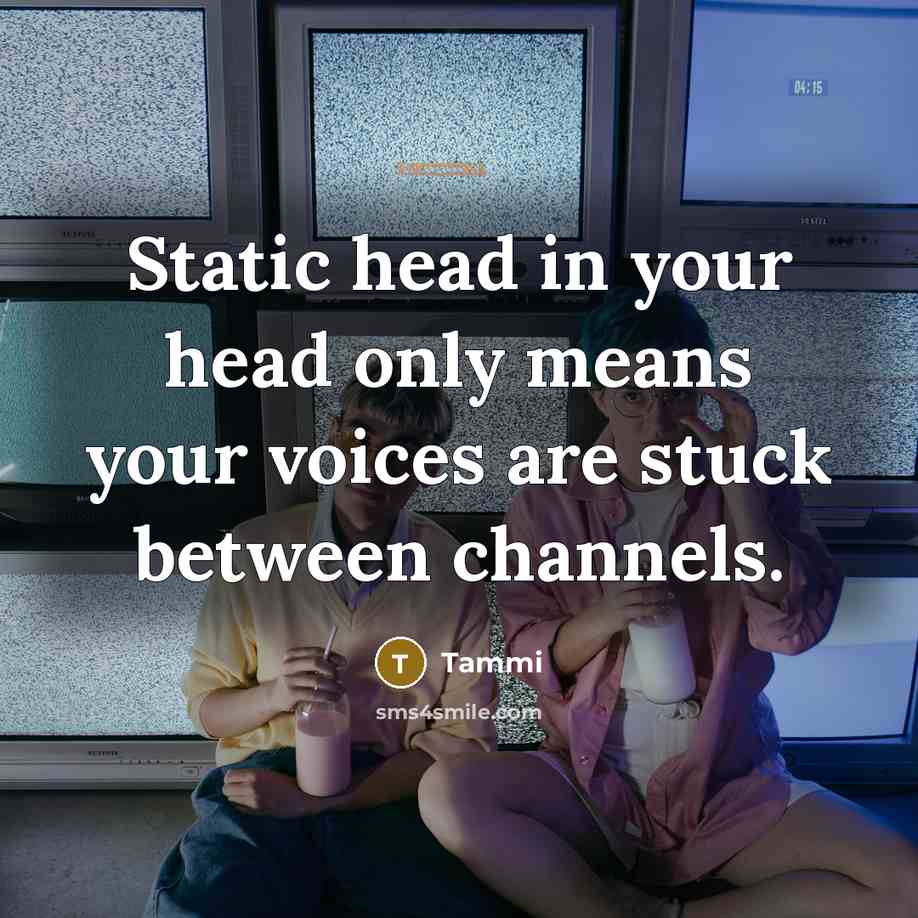 “Static head in your head only means your voices are stuck between channels.” quote by Tammi