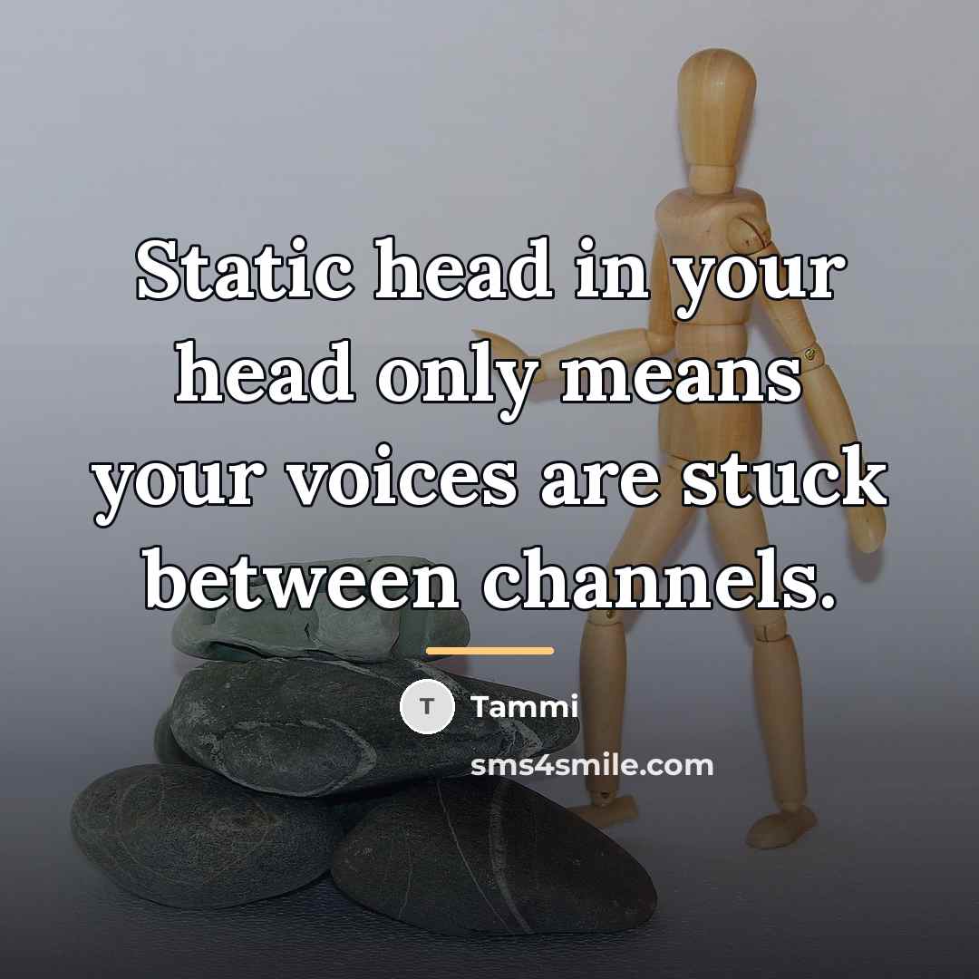 “Static head in your head only means your voices are…” quote by Tammi