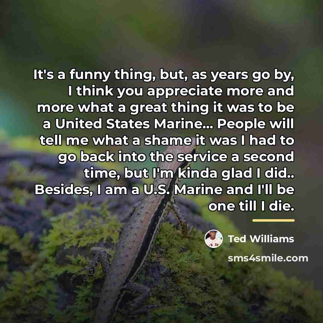 “It's a funny thing, but, as years go by, I…” quote by Ted Williams