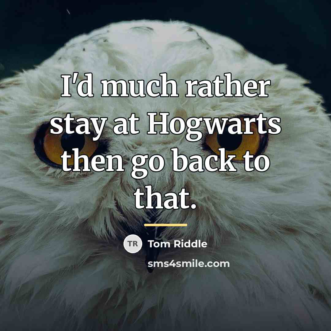 “I'd much rather stay at Hogwarts then go back to…” quote by Tom Riddle