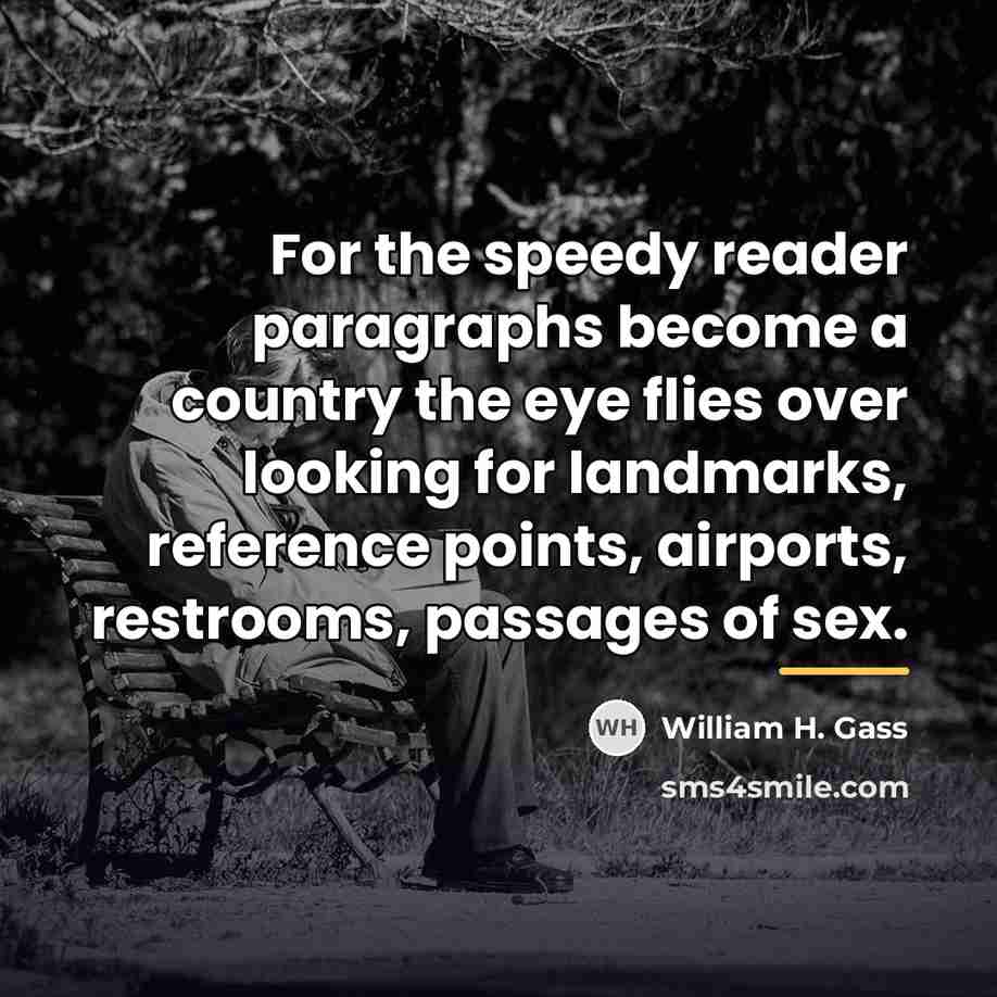 “For the speedy reader paragraphs become a country the eye…” quote by William H. Gass