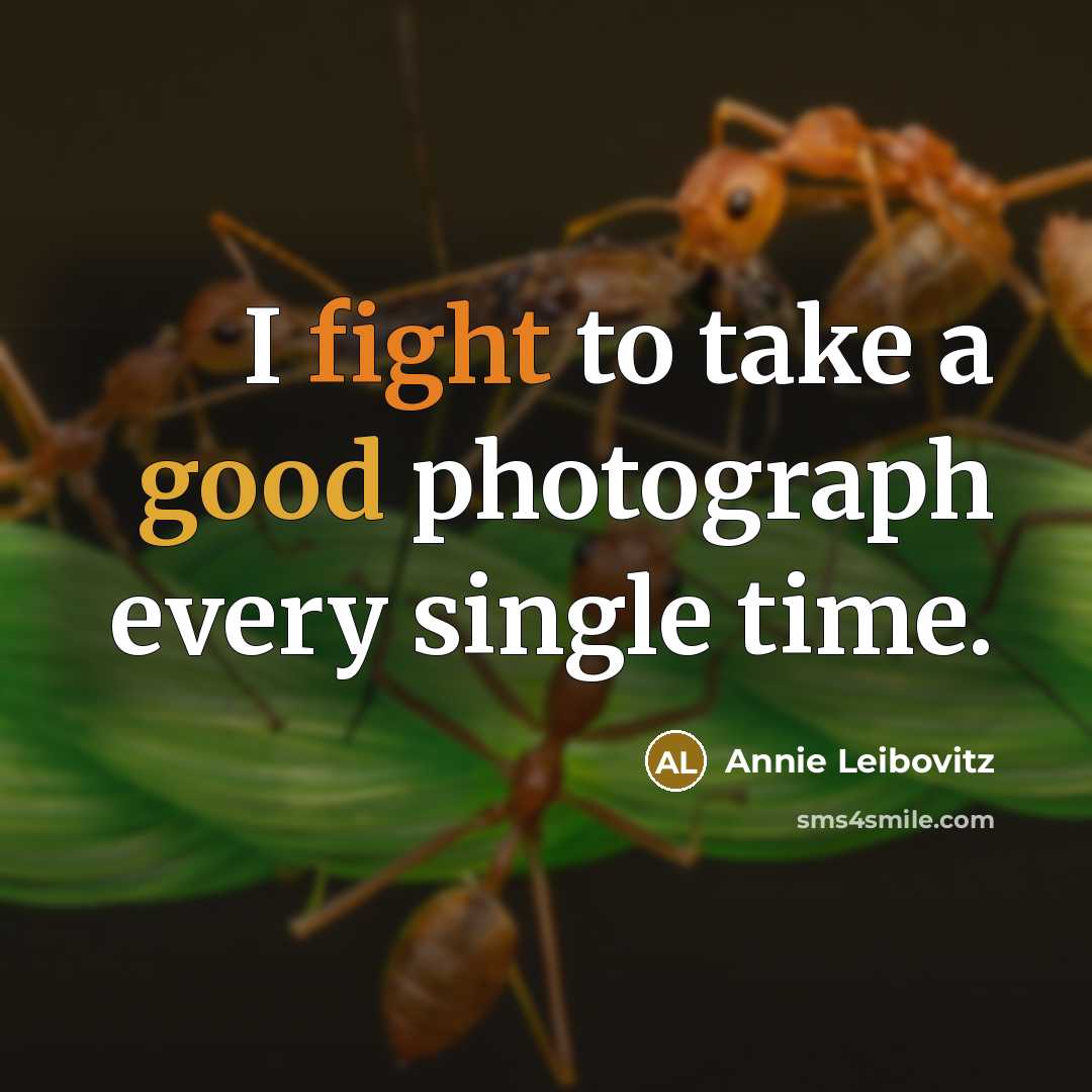 “I fight to take a good photograph every single time.…” quote by Annie Leibovitz