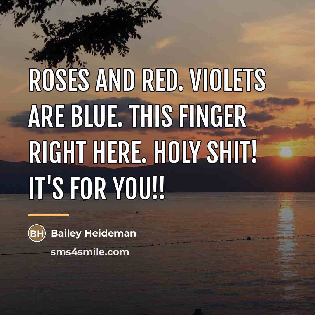 “Roses and red. Violets are blue. This finger right here.…” quote by Bailey Heideman