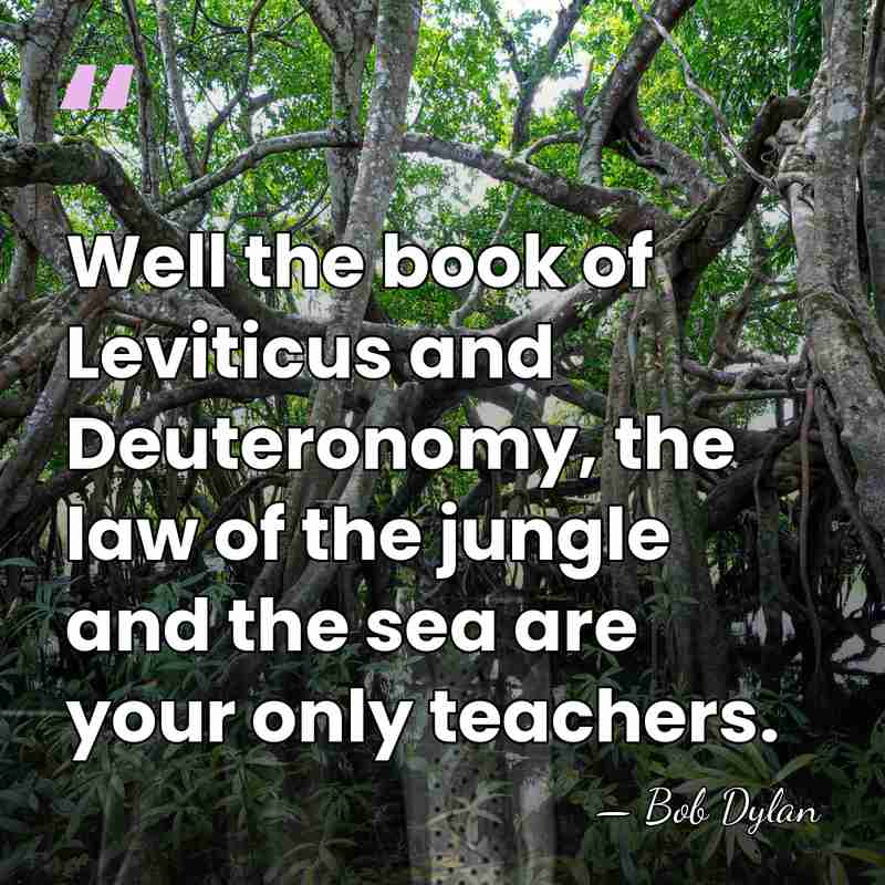 Well the book of Leviticus and Deuteronomy, the law of the jungle&hellip; - Bob Dylan