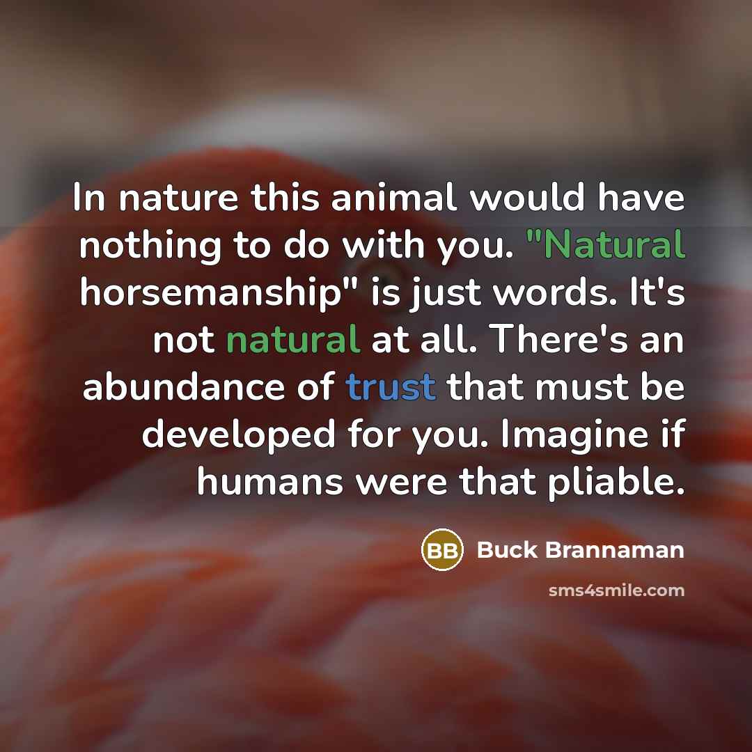 “In nature this animal would have nothing to do with…” quote by Buck Brannaman