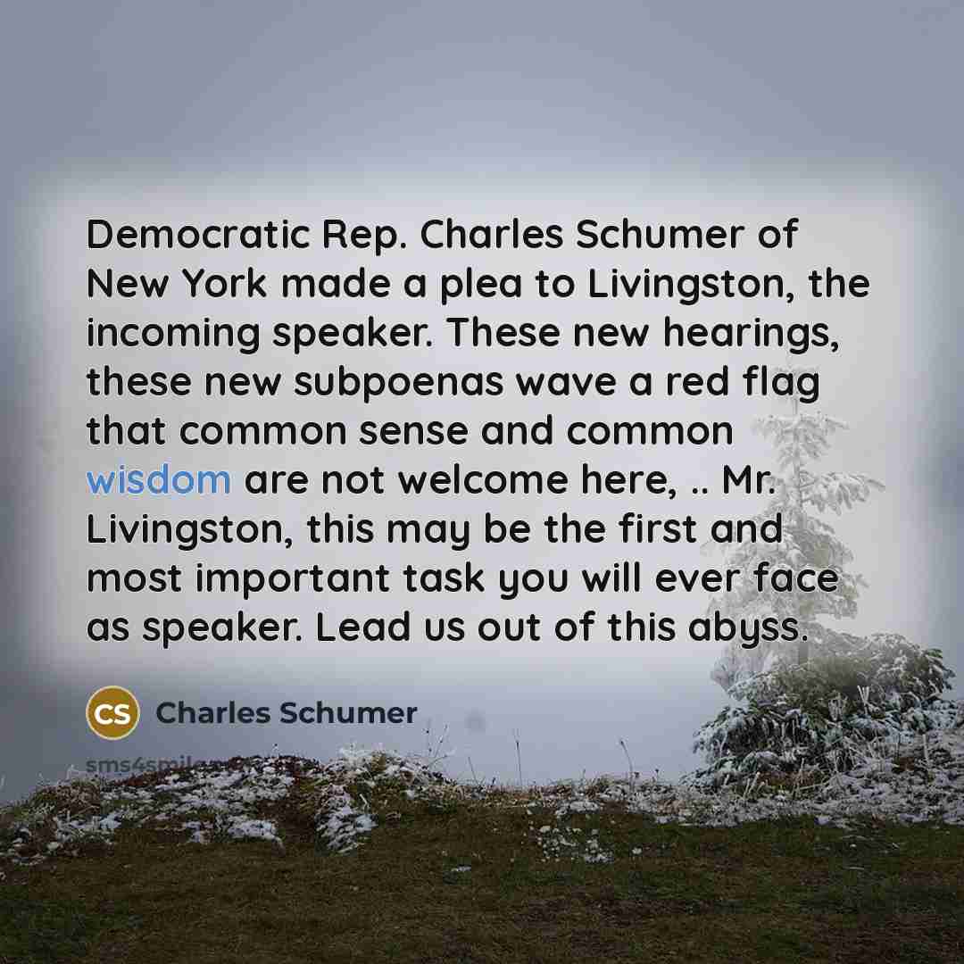 “Democratic Rep. Charles Schumer of New York made a plea…” quote by Charles Schumer