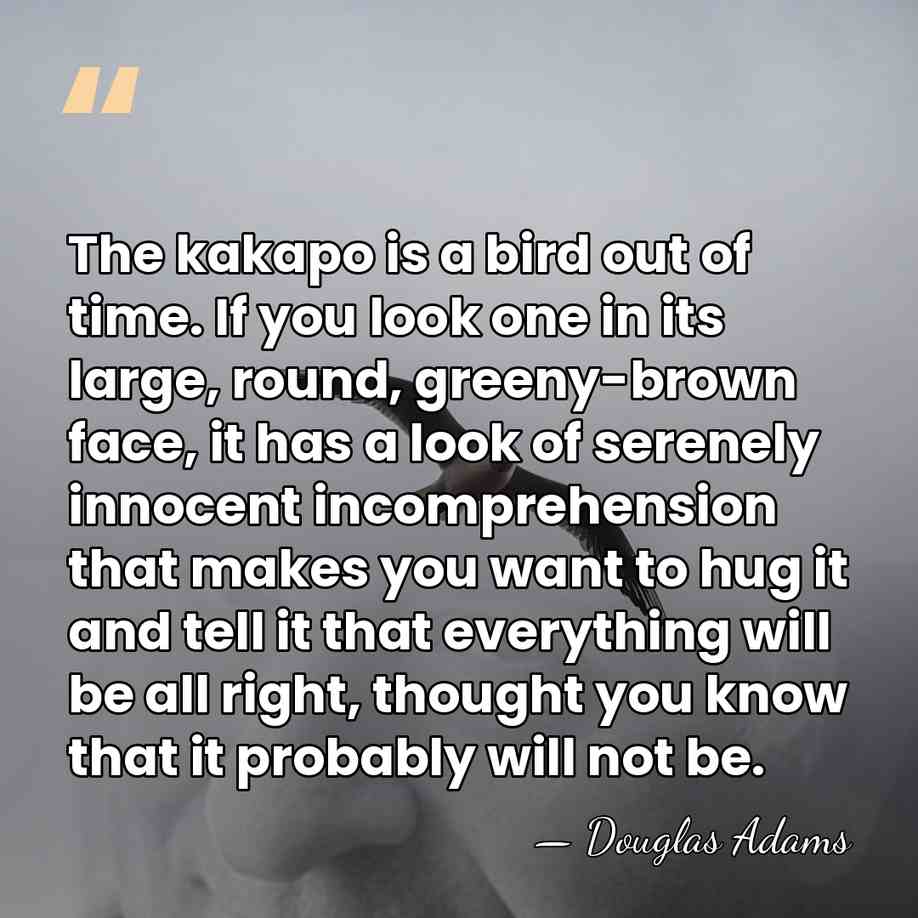 The kakapo is a bird out of time. If you look one&hellip; - Douglas Adams