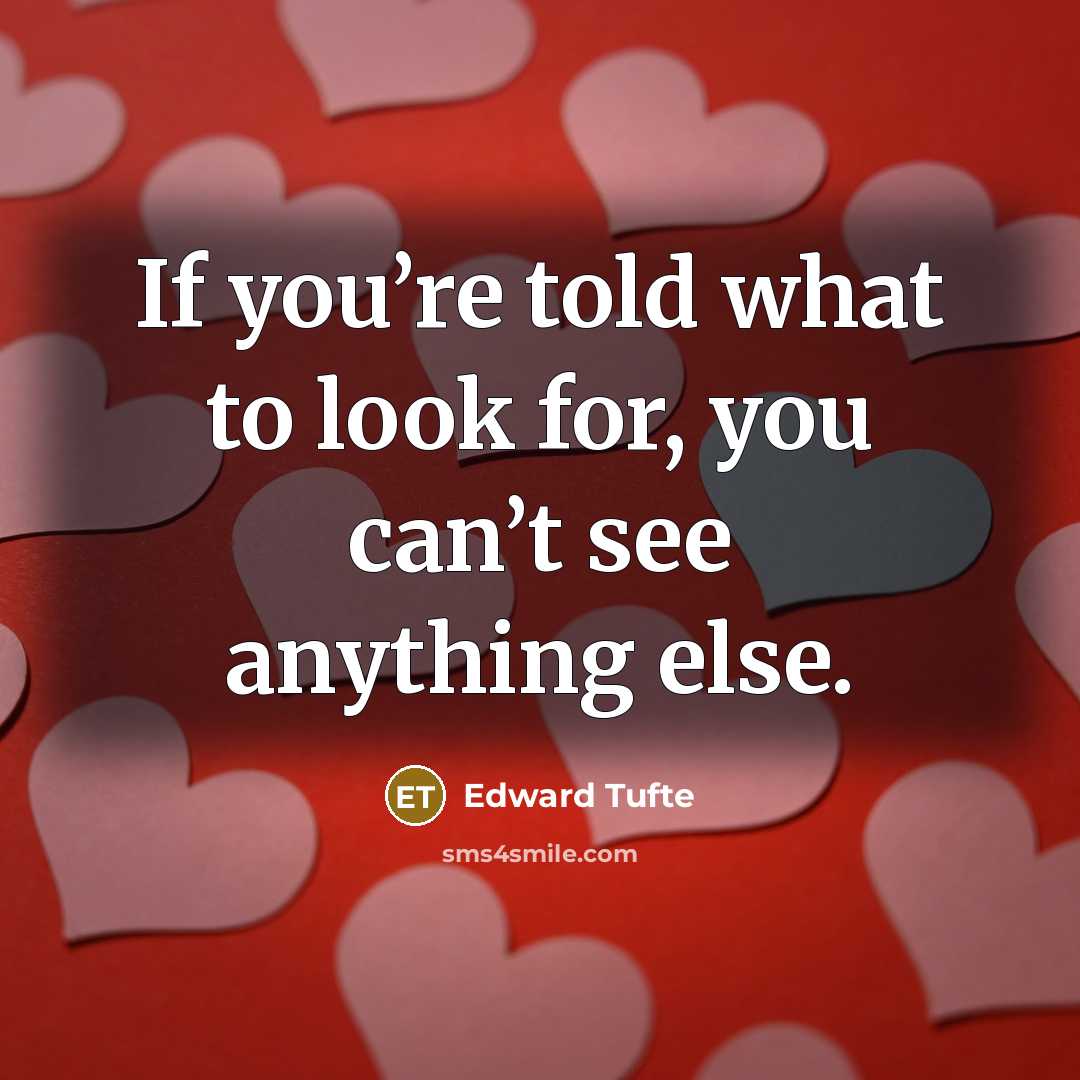 “If you’re told what to look for, you can’t see…” quote by Edward Tufte