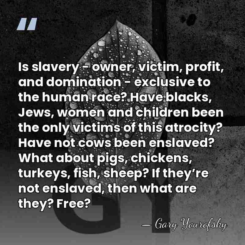 Is slavery - owner, victim, profit, and domination - exclusive to the&hellip; - Gary Yourofsky