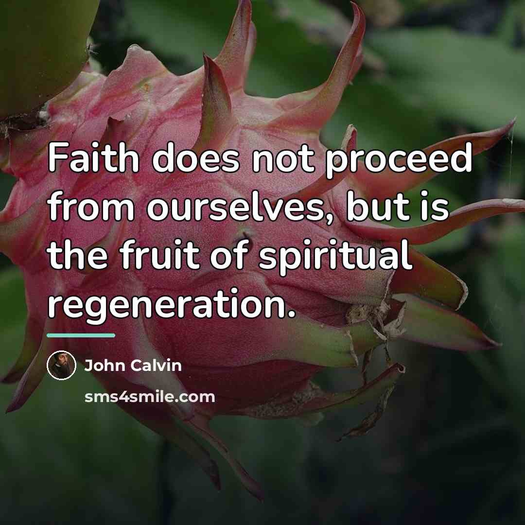 “Faith does not proceed from ourselves, but is the fruit…” quote by John Calvin
