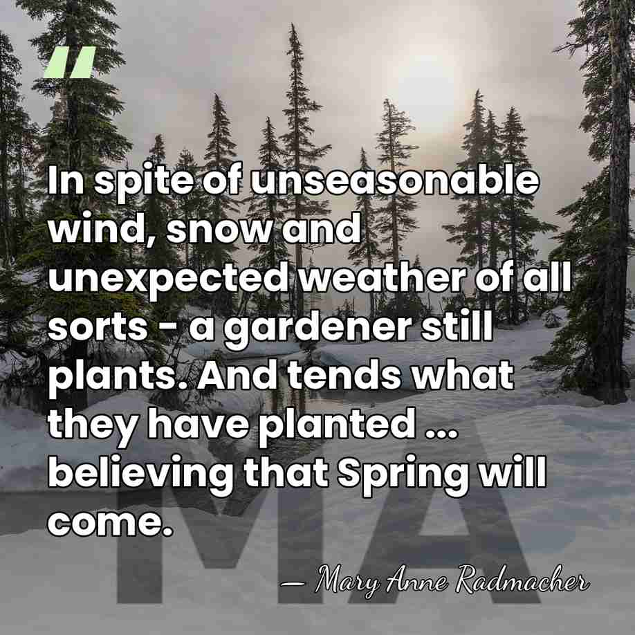 In spite of unseasonable wind, snow and unexpected weather of all sorts&hellip; - Mary Anne Radmacher