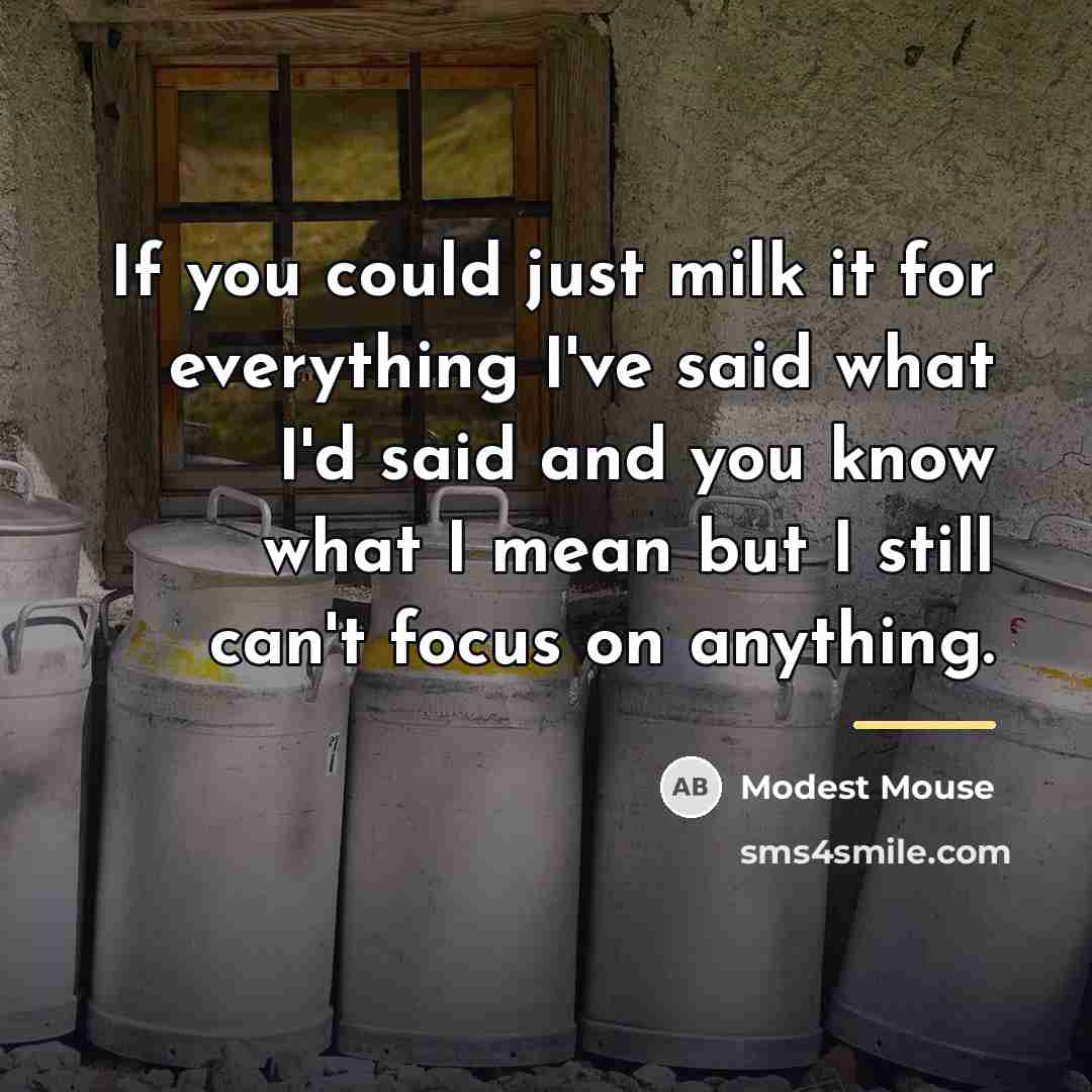 “If you could just milk it for everything I've said…” quote by Modest Mouse