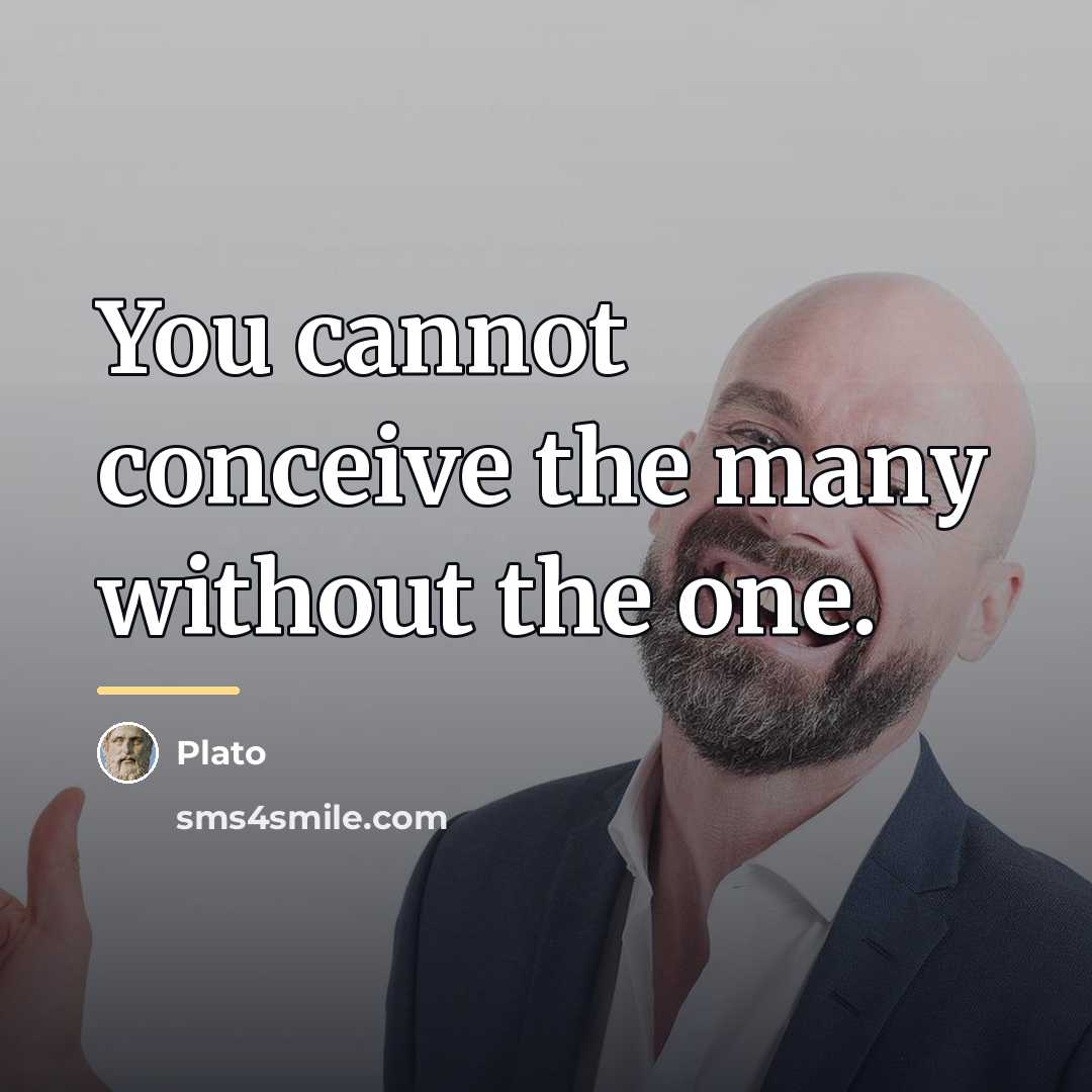 “You cannot conceive the many without the one.…” quote by Plato