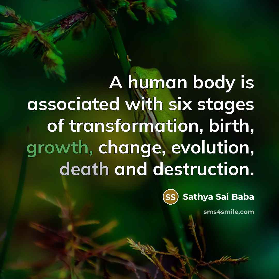 “A human body is associated with six stages of transformation,…” quote by Sathya Sai Baba