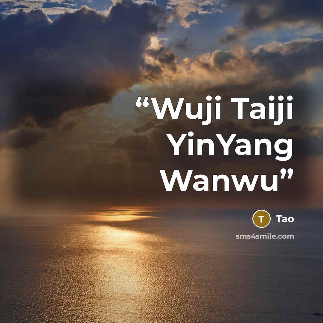 “Wuji Taiji YinYang Wanwu” quote by Tao