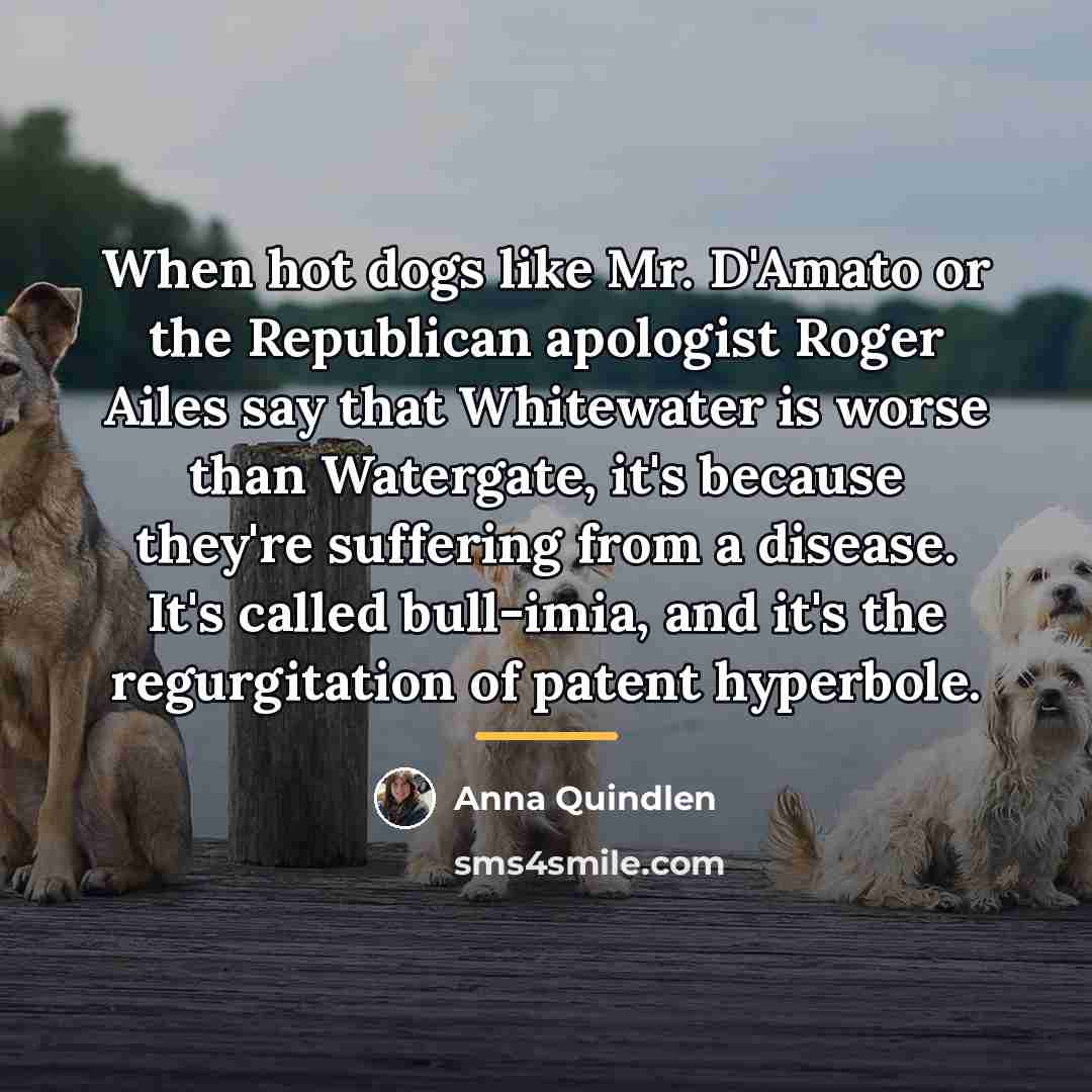 “When hot dogs like Mr. D'Amato or the Republican apologist…” quote by Anna Quindlen