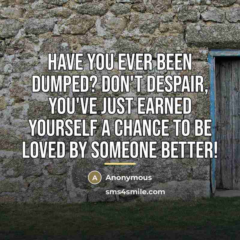 “Have you ever been dumped? Don't despair, you've just earned…” quote by Anonymous