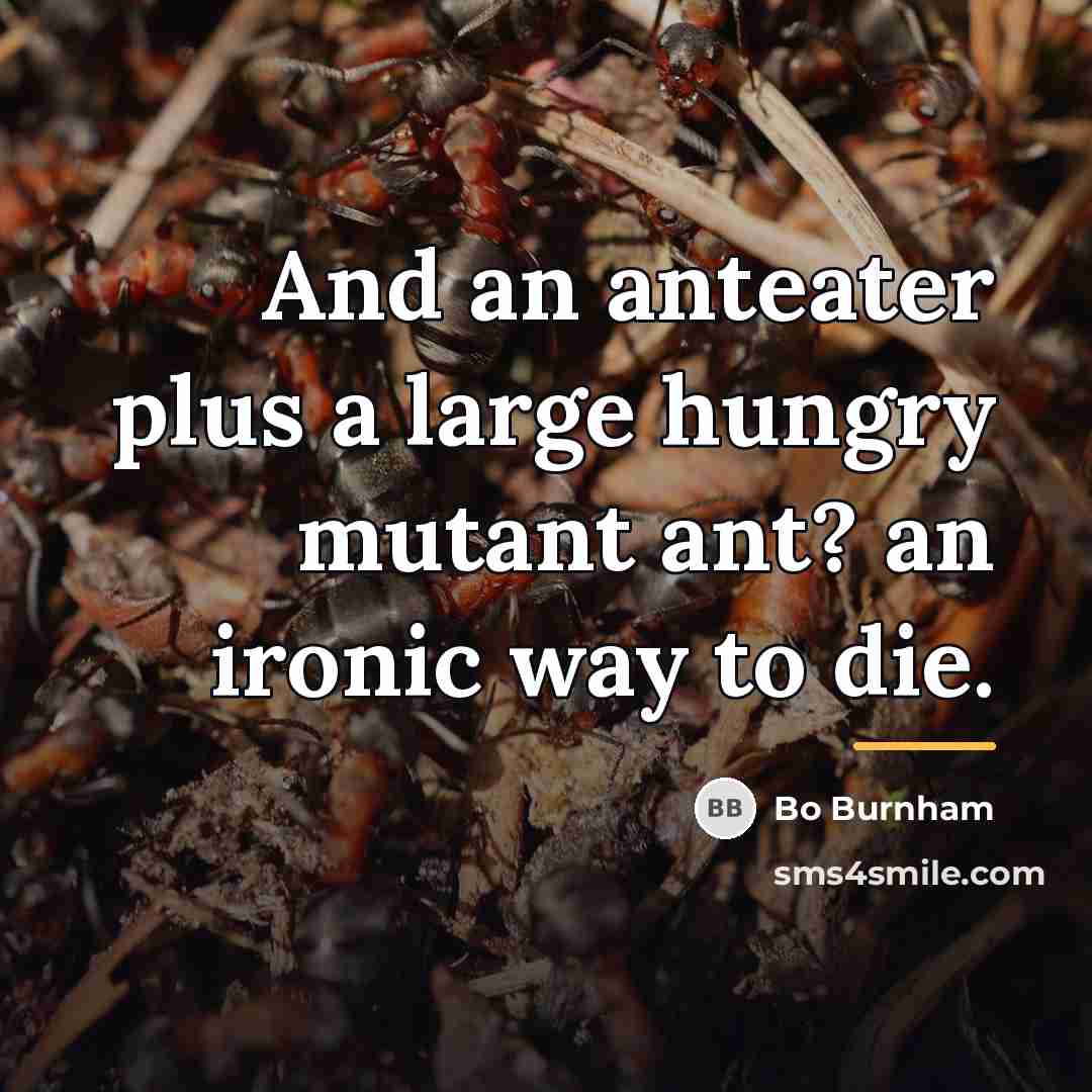 “And an anteater plus a large hungry mutant ant? an…” quote by Bo Burnham