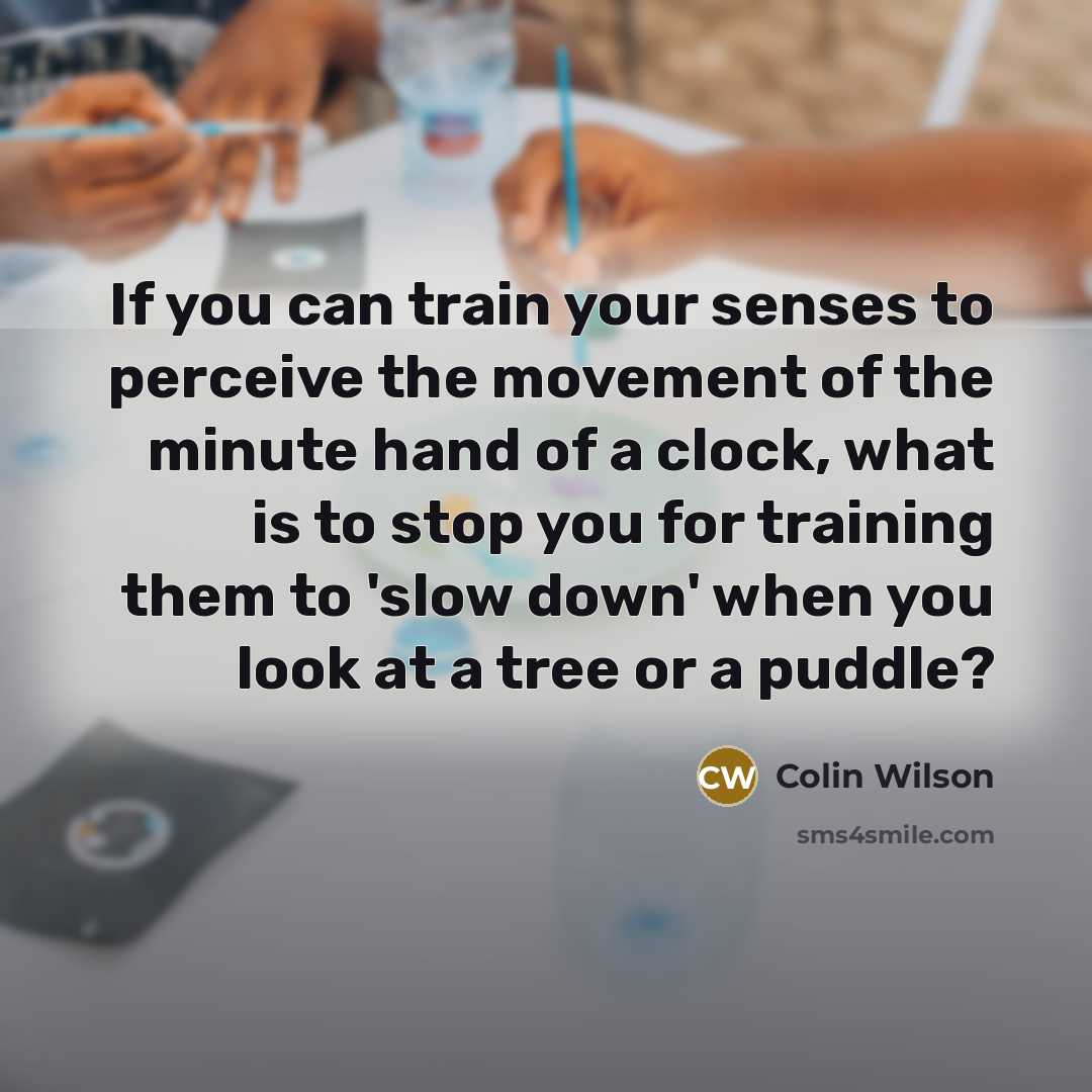“If you can train your senses to perceive the movement…” quote by Colin Wilson