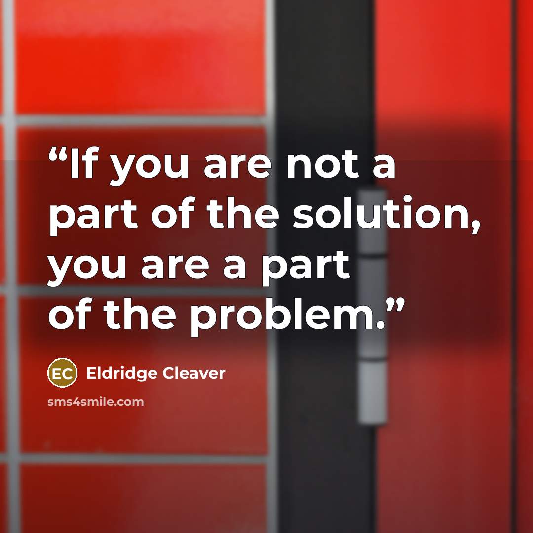 “If you are not a part of the solution, you are a part of the problem.” quote by Eldridge Cleaver