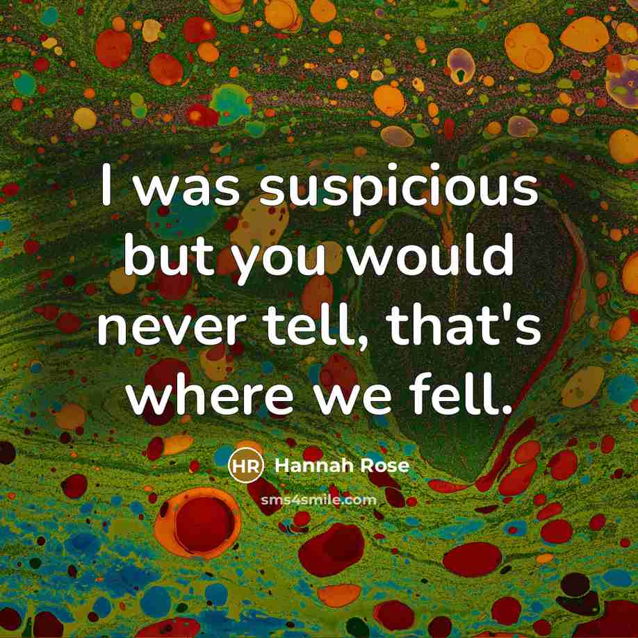 “I was suspicious but you would never tell, that's where…” quote by Hannah Rose