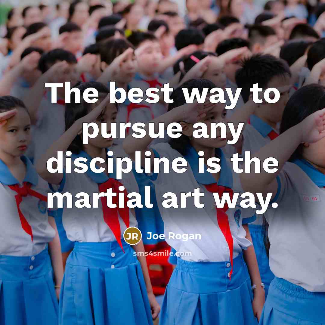 “The best way to pursue any discipline is the martial…” quote by Joe Rogan