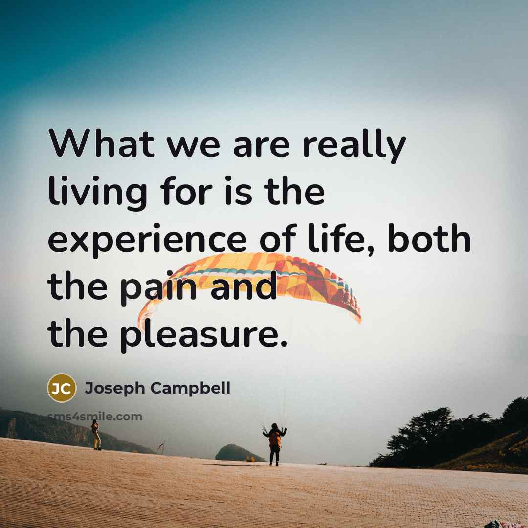“What we are really living for is the experience of…” quote by Joseph Campbell