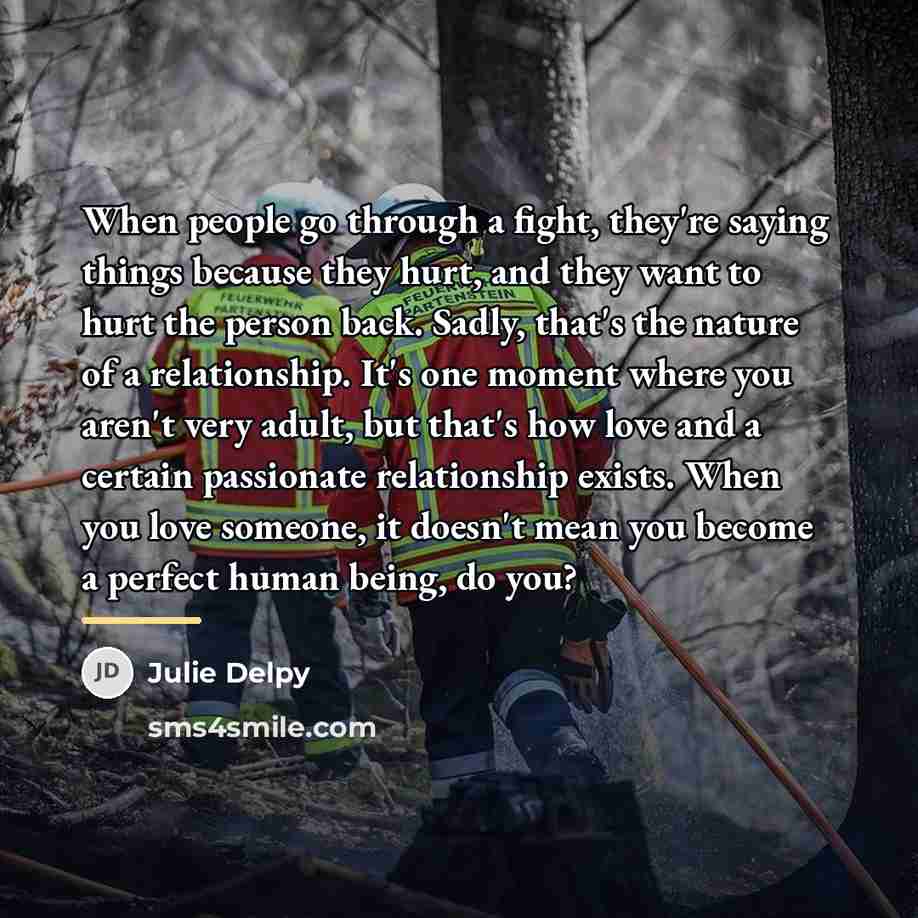 “When people go through a fight, they're saying things because…” quote by Julie Delpy