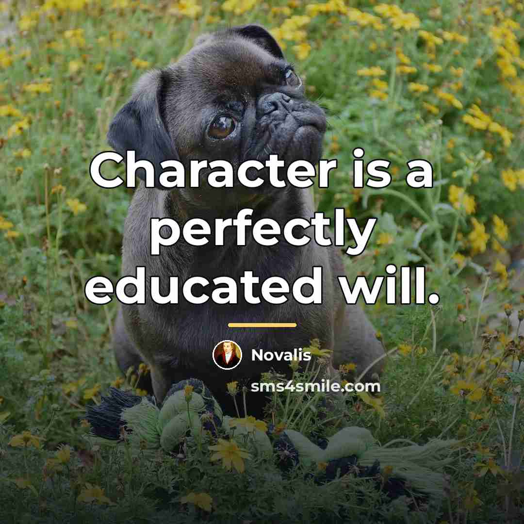 “Character is a perfectly educated will.…” quote by Novalis