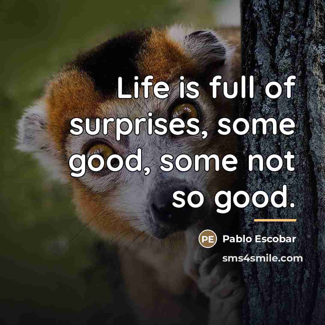 “Life is full of surprises, some good, some not so…” quote by Pablo Escobar